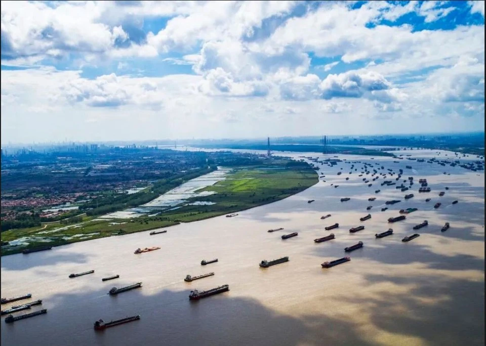 China Netherlands Heavy Cargo Transportation high quality